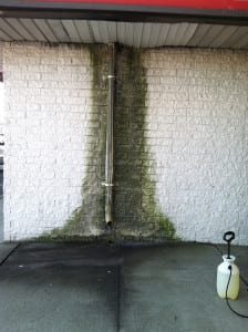BUILDING EXTERIOR WASHING