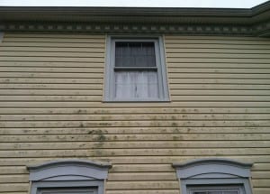House Washing NJ