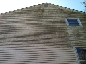 Dirty Vinyl Siding