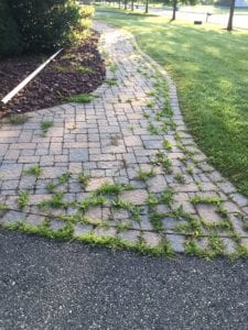 BRICK PAVER CLEANING BEFORE