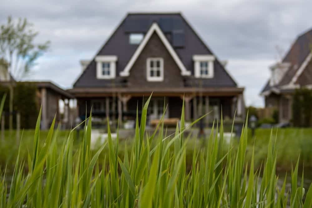 A sharp close-up of green grass blades in the foreground with a blurred background showing a large, modern house with a steep roof, white-framed windows, and a porch. During this time, the overcast sky creates a muted, calm atmosphere while subtly emphasizing the importance of house washing.