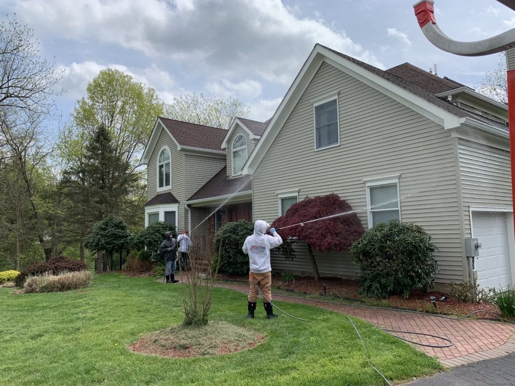 Two people are pressure washing the exterior of a beige house with brown roof shingles. One person sprays water on a red-leaved tree close to the house, while the other works nearby. The lawn is green and well-kept, with some trees and shrubs around. It's an efficient siding cleaning process.