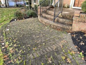 Paver Cleaning NJ