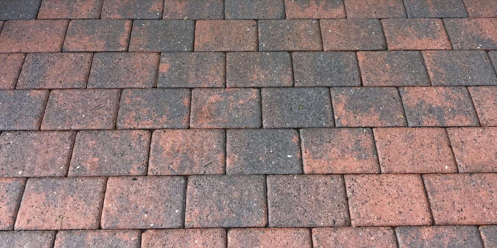 BRICK PAVER CLEANING & RESANDING